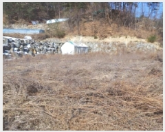  2025Ÿ��30365  �Ӿ߰��