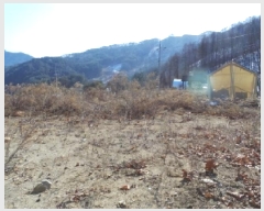  2025Ÿ��30365  �Ӿ߰��