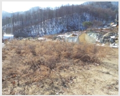  2025Ÿ��30365  �Ӿ߰��