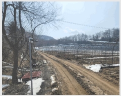  2025Ÿ��30368 ���� ��â�� ����ɸ� Ⱦ�踮 70-1      ����(��1)���