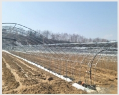  2025Ÿ��30368 ���� ��â�� ����ɸ� Ⱦ�踮 70-1      ����(��1)���