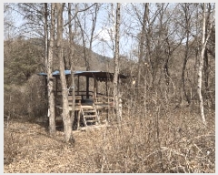  2025Ÿ��30376  �����