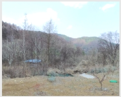  2025Ÿ��30376  �����