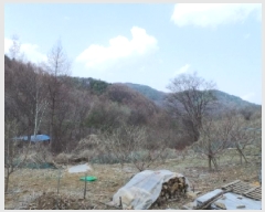  2025Ÿ��30376  �����