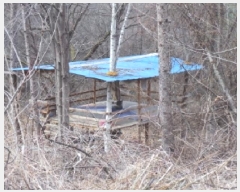  2025Ÿ��30376  �����