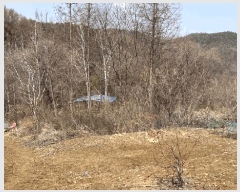  2025Ÿ��30376  �����