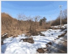  2025Ÿ��30385 ���� ��â�� ��ȭ�� ��ȭ�� 1016-11      ����(����)���