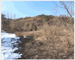  2025Ÿ��30385 ���� ��â�� ��ȭ�� ��ȭ�� 1016-11      ����(����)���