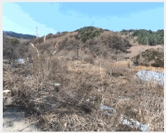  2025Ÿ��30385 ���� ��â�� ��ȭ�� ��ȭ�� 1016-11      ����(����)���