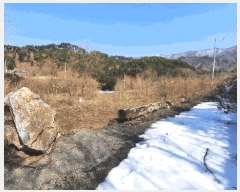  2025Ÿ��30385 ���� ��â�� ��ȭ�� ��ȭ�� 1016-11      ����(����)���