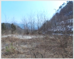  2025Ÿ��30385 ���� ��â�� ��ȭ�� ��ȭ�� 1016-11      ����(����)���