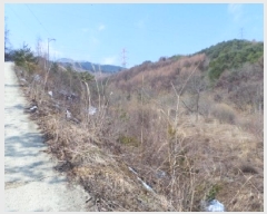  2025Ÿ��30385 ���� ��â�� ��ȭ�� ��ȭ�� 1016-11      ����(����)���