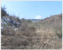  2025Ÿ��30385 ���� ��â�� ��ȭ�� ��ȭ�� 1016-11      ����(����)���