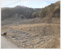  2025Ÿ��30387  �������