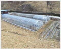  2025Ÿ��30387  �������