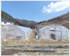  2025Ÿ��30387  �������