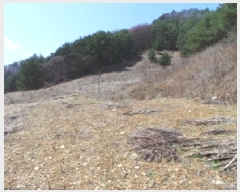  2025Ÿ��30387  �������