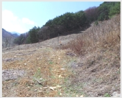  2025Ÿ��30387  �������