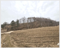  2025Ÿ��30393 ���� ��â�� ����� â���� ��175-2      ����(�Ӿ�)���