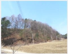  2025Ÿ��30393 ���� ��â�� ����� â���� ��175-2      ����(�Ӿ�)���