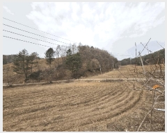  2025Ÿ��30393 ���� ��â�� ����� â���� ��175-2      ����(�Ӿ�)���