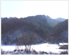  2025Ÿ��30395 ���� ��â�� ����� �뵿�� ��205      ����(�Ӿ�)���