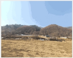  2025Ÿ��30395 ���� ��â�� ����� �뵿�� ��205      ����(�Ӿ�)���