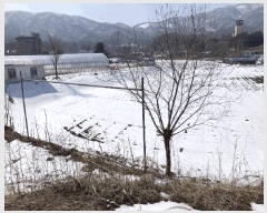  2025Ÿ��30398 ���� ��â�� ����� ���̸� 804-9      ����(��)���