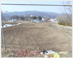  2025Ÿ��30398 ���� ��â�� ����� ���̸� 804-9      ����(��)���