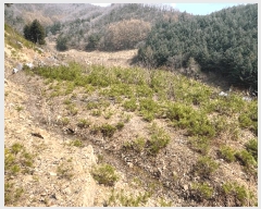  2025Ÿ��30401 ���� ��â�� �渲�� ��� 519-1      ����(��1)���