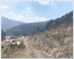  2025Ÿ��30401 ���� ��â�� �渲�� ��� 519-1      ����(��1)���