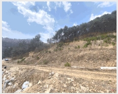  2025Ÿ��30401 ���� ��â�� �渲�� ��� 519-1      ����(��1)���