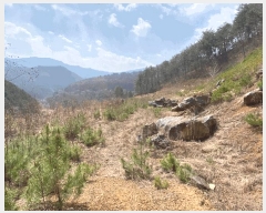  2025Ÿ��30401 ���� ��â�� �渲�� ��� 519-1      ����(��1)���