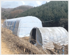  2025Ÿ��30401 ���� ��â�� �渲�� ��� 519-1      ����(��1)���