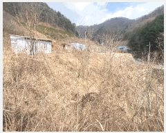  2025Ÿ��30401 ���� ��â�� �渲�� ��� 519-1      ����(��1)���