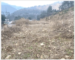  2025Ÿ��30401 ���� ��â�� �渲�� ��� 519-1      ����(��1)���