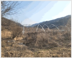  2025Ÿ��30403  �����