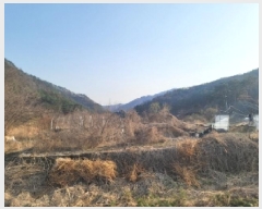  2025Ÿ��30403  �����