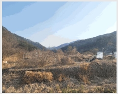  2025Ÿ��30403  �����