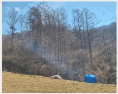  2025Ÿ��30406  �Ӿ߰��