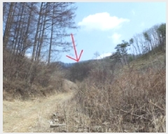  2025Ÿ��30406  �Ӿ߰��