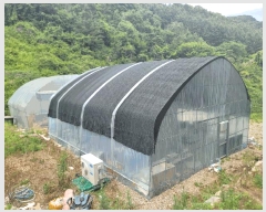  2025Ÿ��30433  �����