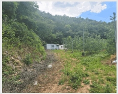  2025Ÿ��30433  �����