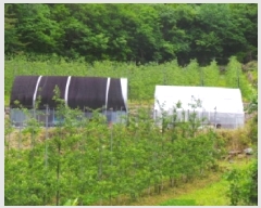  2025Ÿ��30433  �����