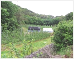  2025Ÿ��30433  �����