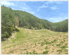  2025Ÿ��30443  �����