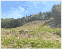  2025Ÿ��30443  �����