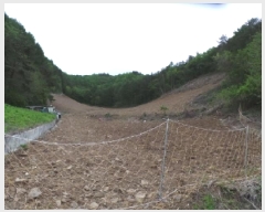  2025Ÿ��30443  �����