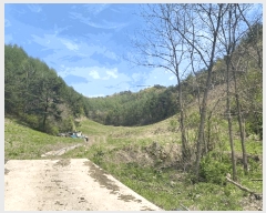  2025Ÿ��30443  �����