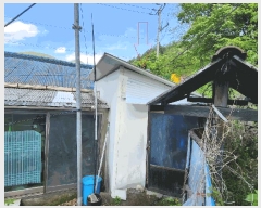  2025Ÿ��30454 ���� ������ �ŵ��� ������ 1-13      ����(����)���